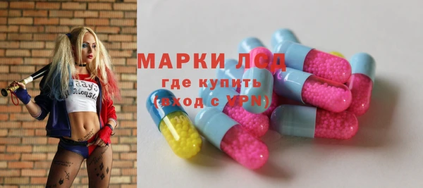 прущие грибы Абдулино