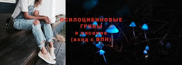 мяу мяу мука Тихвин