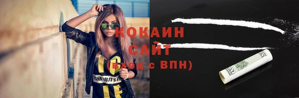 шишки Алзамай