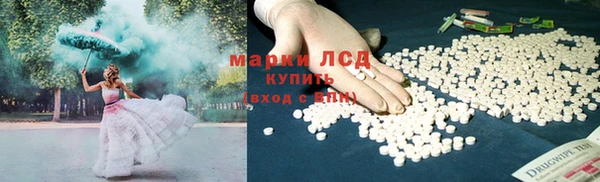 мяу мяу мука Абаза